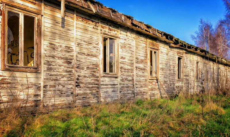 wooden shed, woodhouse, house, wood - material, 5K, run-down, plant, decay, break up, sky, painting, old, grass, abandoned places, old building, transience