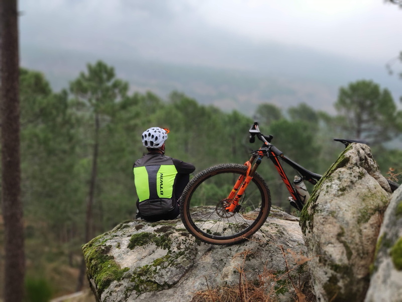 human, tree, forest, sport, ktm, plant, headwear, adventure, avila, vtt, apparel, man, focus on foreground, activity, clothing, cyclist, cycling, no people