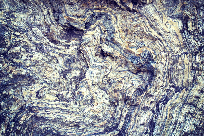 natural pattern, nature, pattern, no people, tree, wood, plant bark, trunk, rough, abstract, stone, texture, tree trunk, outdoors, united states, close-up