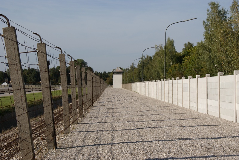 sunlight, nature, tree, the way forward, railing, justice, security, in a row, day, fence, dachau concentration camp, integration, architecture, boundary