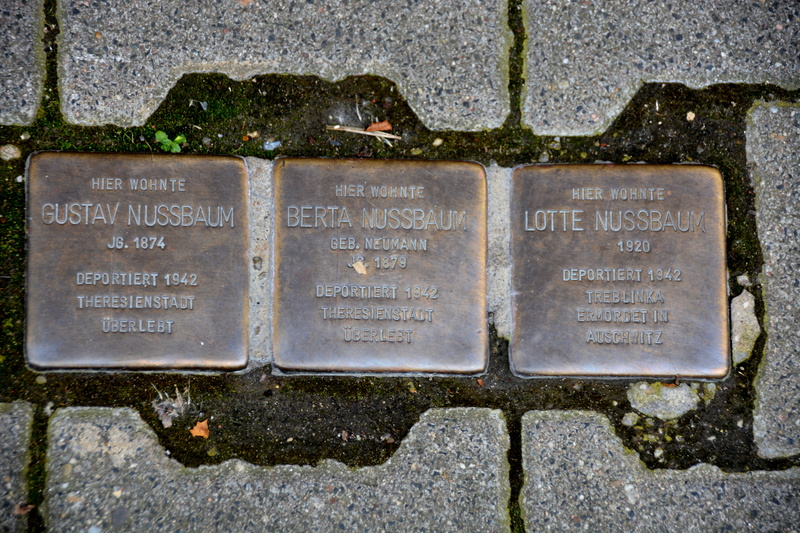stone, spirituality, western script, jews, stumbling blocks, mass murders, religion, history, holocaust, memorial, close-up, day, grave, communication