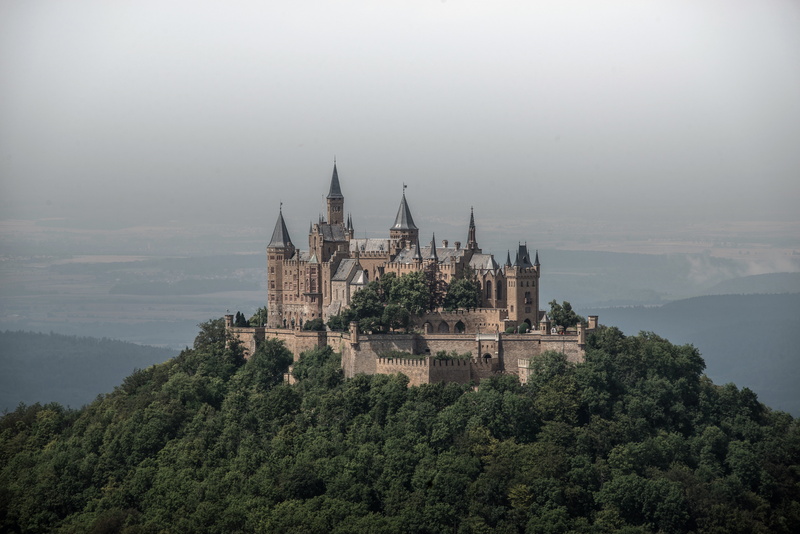 forest, architecture, growth, scenics - nature, nature, place of worship, 5K, brown, spire, hill, scenic, the past, building exterior, castle on the hill