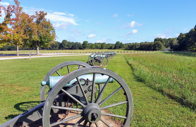 transportation, union, artillery, plant, animal, wagon wheel, civil, land, battlefield, beauty in nature, growth, landscape, old, military, confederate