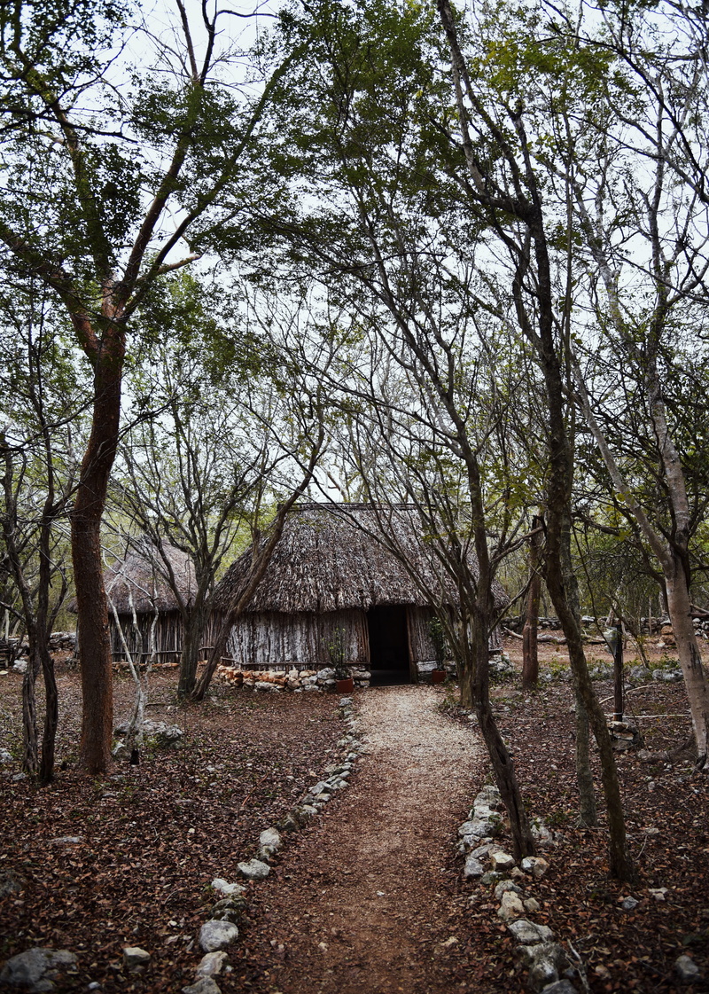 trees, land, tree trunk, direction, landscape, building exterior, huts, plant, shack, housing, countryside, architecture, near, outdoors, mexico, culture