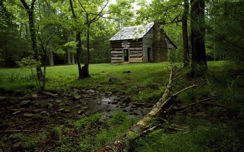 ruin, nature, 1080P, abandoned, forest