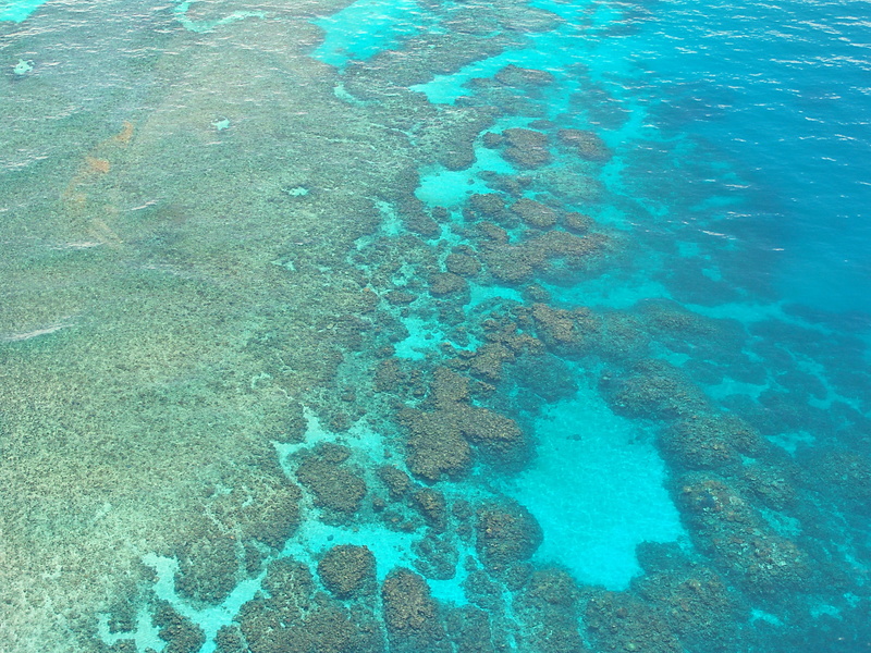 sea, high angle view, aerial view, blue, beauty in nature, waterfront, reef, backgrounds, australia, great barrier reef, ocean, 2K, tranquility, diving