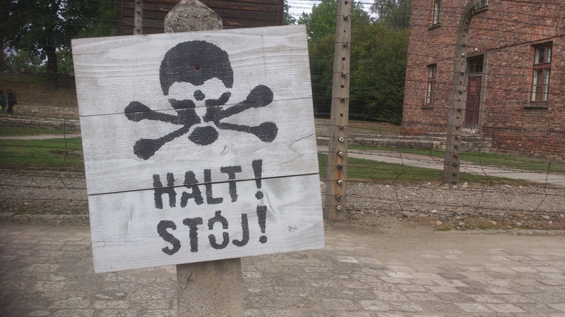 art and craft, plant, western script, architecture, information, auschwitz, day, human representation, nature, the museum, creativity, sign, communication