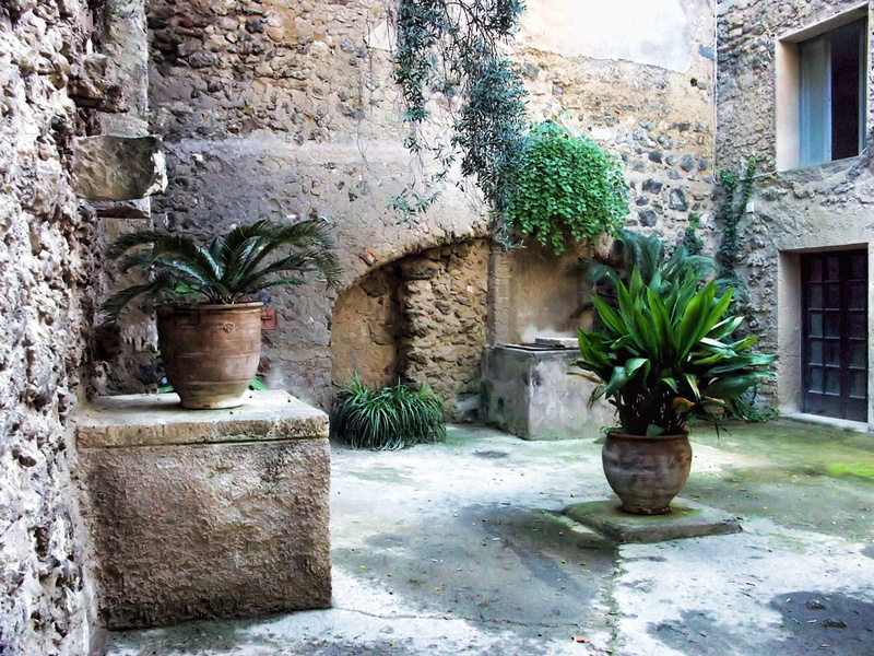 tree, entrance, outdoors, growth, ischia, building, well, castello aragonese, potted plant, mood, building exterior, door, wall - building feature, day