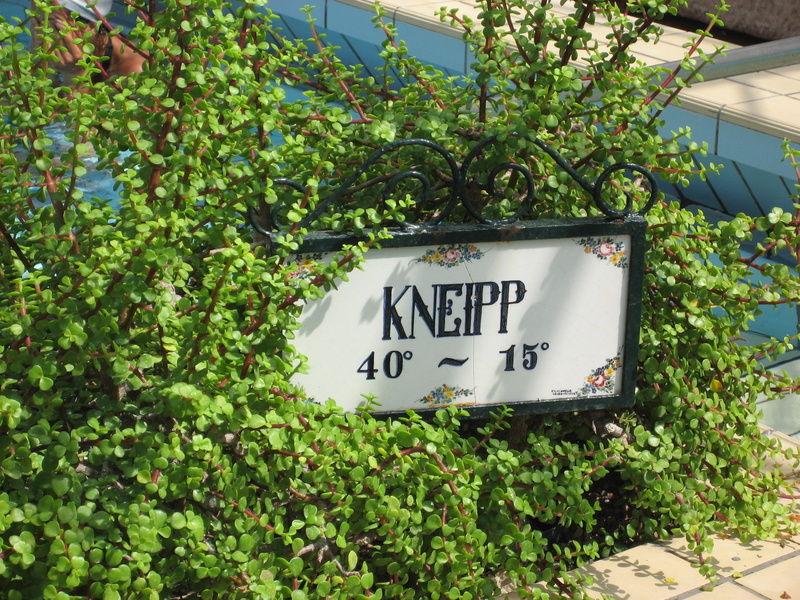 no people, green color, nature, information sign, outdoors, Kneipp, communication, guidance, tree, sign, information, plant part, Pool, western script