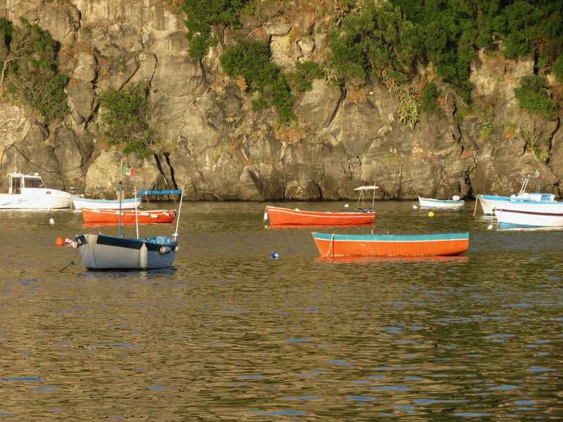 waterfront, transportation, ocean, day, orange color, ischia, tranquil scene, tranquility, sea, water, rowboat, italia, tree, nautical vessel, sunny, boat