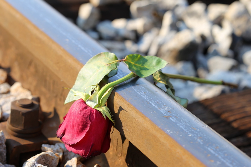 lost love, beauty in nature, high angle view, remembering, misery, plant part, flower, fragility, sad red rose on rail, plant, outdoor, table, freshness