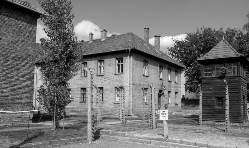the past, auschwitz, plant, barak, sky, day, old, residential district, history, city, building, built structure, brick, window, building exterior, nature