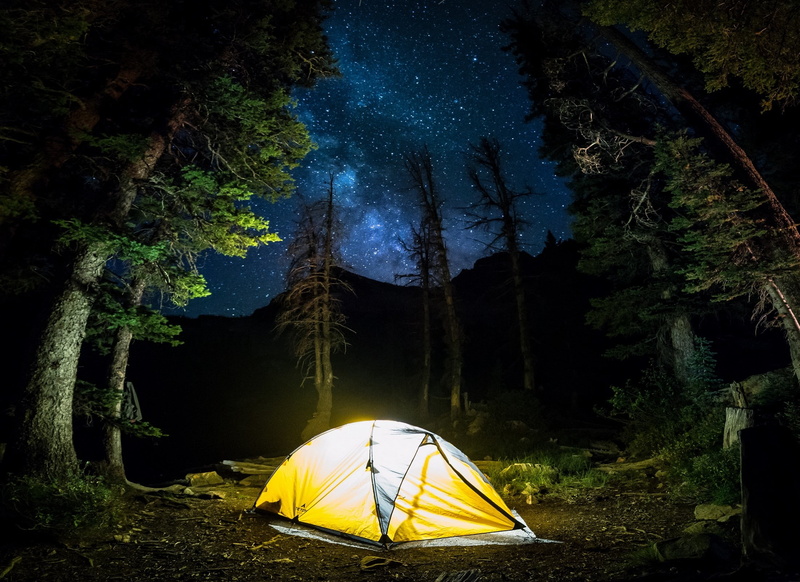 1080P, night, starry, landscape, camping, way, light, starry night, milky, forest, milky way