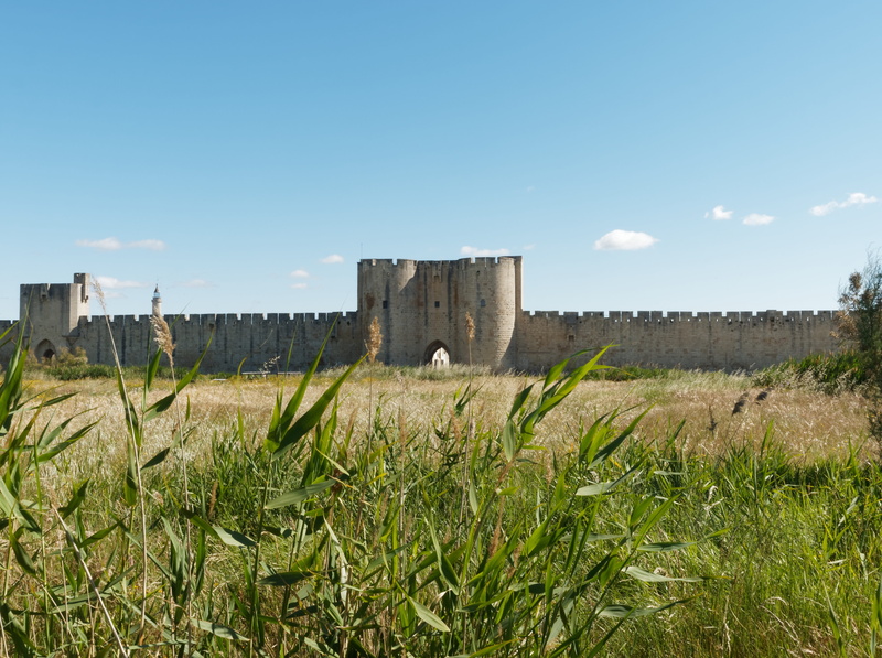 nature, tower, history, wall, sky, field, land, 4K, speaker, the past, walled town, doors, architecture, medieval, outdoors, acute dead, ancient, aigues-mortes