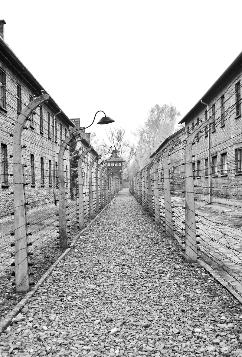 clear sky, fence, building exterior, holocaust, murder, plant, outdoors, jail, jew, street, extermination, architecture, long, camp, nature, copy space