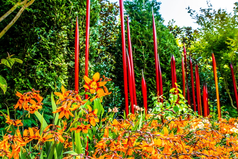 nature, artistic, tourist, creative, foliage, freshness, plant, tree, bamboo - plant, glass, growth, gallery, colorful, garden, chihuly, leaf, plant part