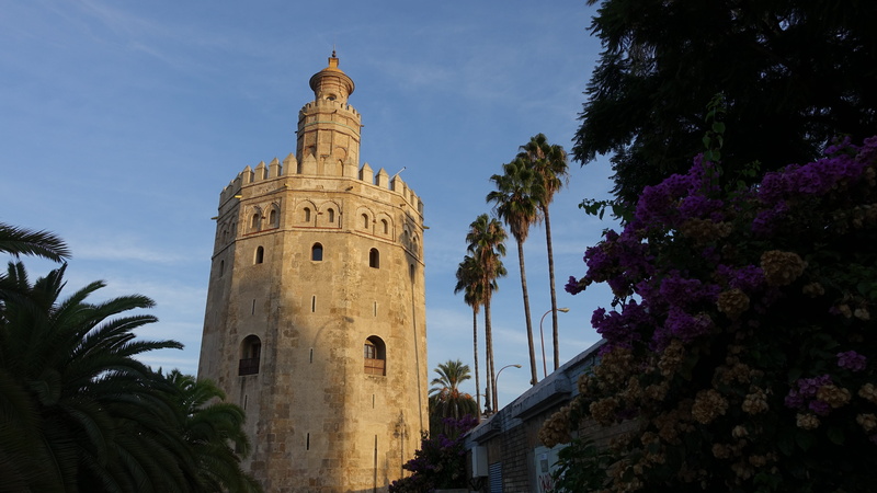 golden tower, growth, the history of the, tree, no people, religion, built structure, tower, torre del oro, the morning sun, building exterior, palm tree