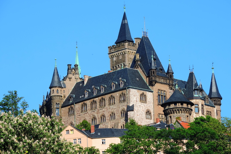 tower, plant, low angle view, architecture, castle, gothic style, clear sky, travel destinations, the past, belief, built structure, building exterior