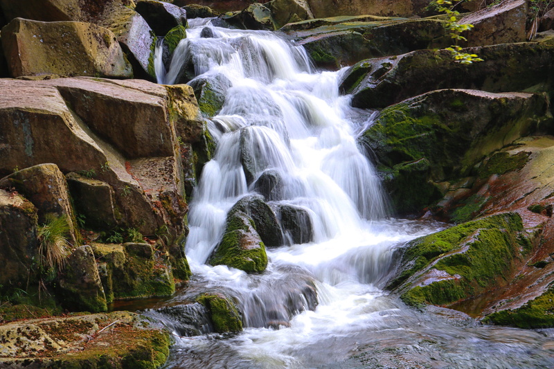 algae, waterfalls, land, flowing, rock, river, flora, trail, plant, scenics - nature, stream, environment, tree, motion, flowing water, beauty in nature