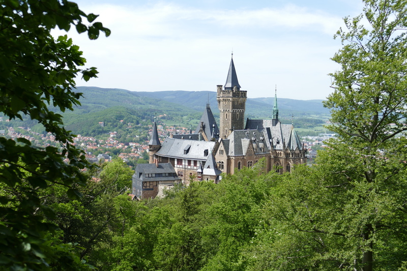 belief, cloud - sky, architecture And Buildings, plant, outdoors, europe, day, architecture, no people, Wernigerode, famous Place, building, church, spire