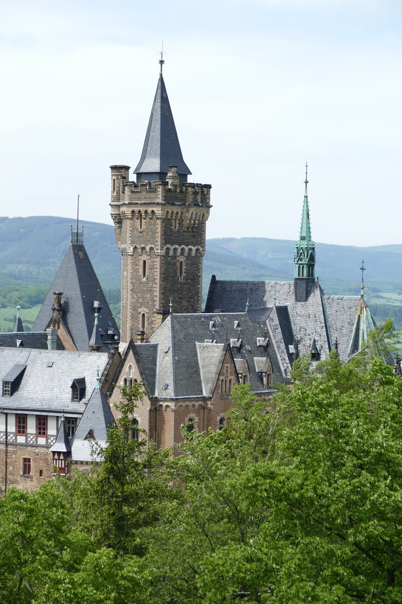5K, building exterior, place of worship, day, plant, history, clock tower, sky, tower, the past, building, belief, middle ages, built structure, spire