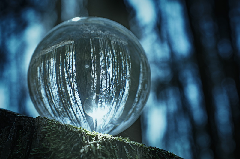 geometric shape, design, hanging, trunk, glass - material, close up, still life, focus on foreground, bark, glass ball, 5K, ball, photo sphere, sphere