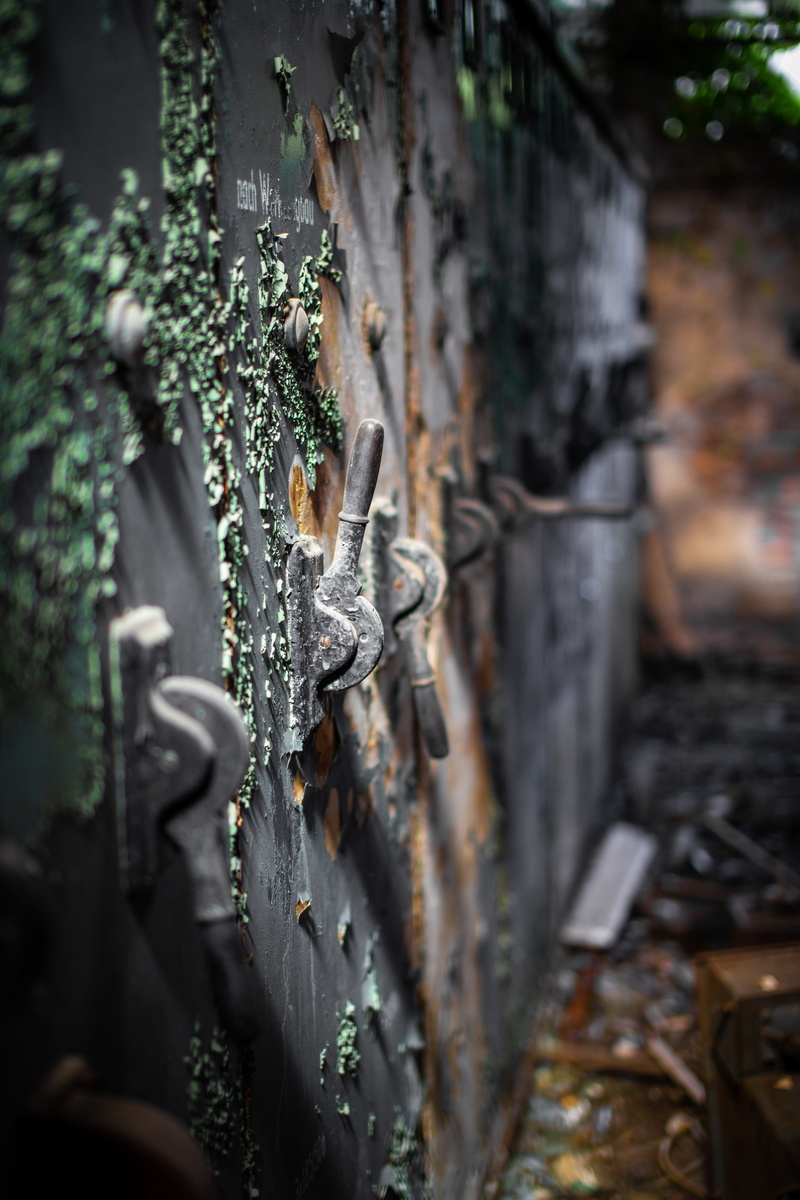 plant part, beauty in nature, green, leaf, lever, germany, focus on foreground, tranquility, 4K, tree trunk, wall, trunk, photography, day, metal, lost places