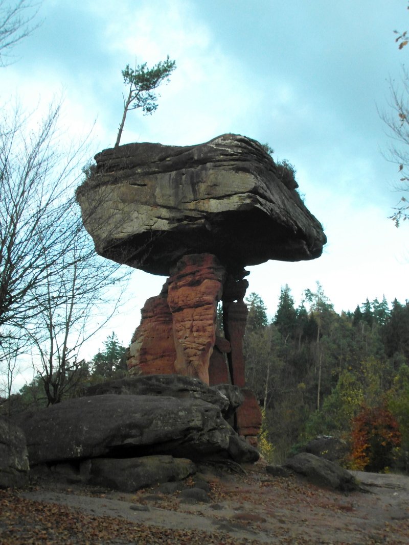 outdoors, low angle view, plant, art and craft, rock formation, autumn, hiking, 4K, day, land, devils table, tranquility, eroded, sandstone rock, rock - object