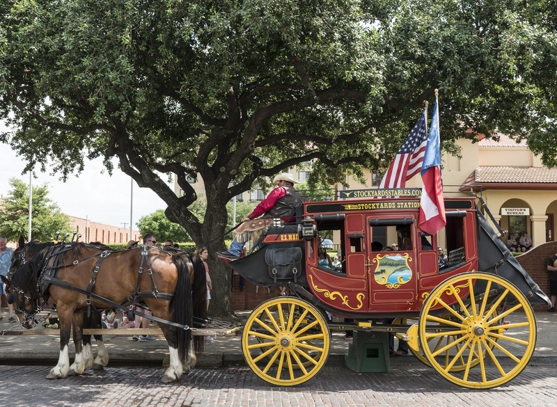 horsedrawn, cowboys, mammal, western, flag, 1080P, animal themes, plant, fort worth, symbol, vertebrate, livestock, horse cart, historic, stagecoach, working animal