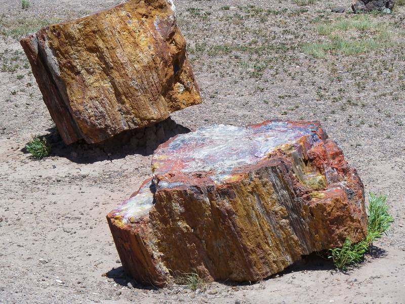 opal wood, landscape, petrified wood, rock - Object, old, colorful, desert, wood opal, weathered, obsolete, rolling hills, Forest, scenery, nature, land
