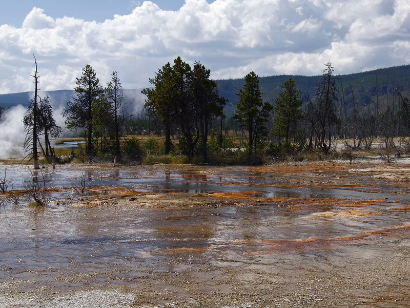 steam, volcanism, erosion, sky, tranquility, nature, flowing water, tourist attraction, pine tree, steaming, wet, flood, Wyoming, flowing, scenics, colorful