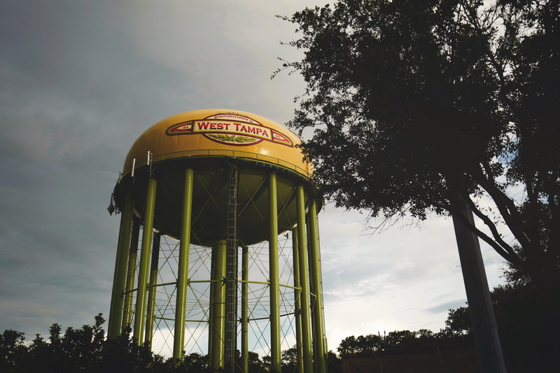 nature, no people, architecture, united states, low angle view, tower, water tower, tree, plant, water tower - storage tank, day, outdoors, dome, 4K, tampa
