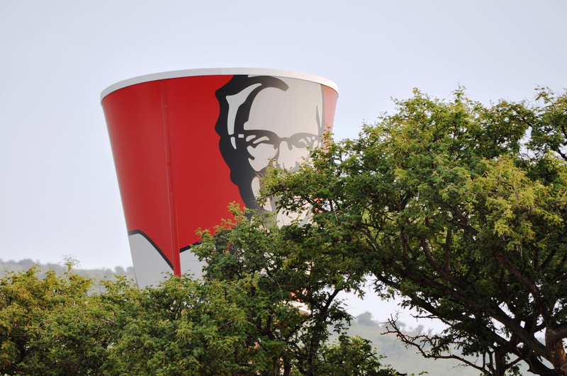 red, plant, nature, sky, growth, outdoors, building exterior, water, food, day, 4K, chicken, kentucky fried chicken, chicken nuggets, breakfast, sunlight