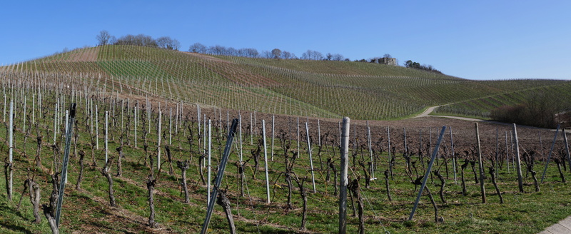 peaceful, ruin, environmental conservation, nature, field, 8K, plantation, vegetation calm, wide, slope, landscape, baden württemberg, tranquility, vineyards