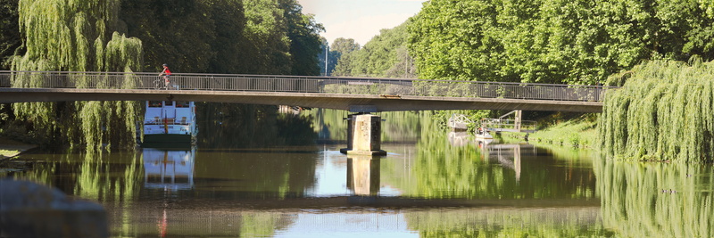 leisure, water, recovery, river, tranquility, nature, heilbronn, bridge, outdoors, promenade, no people, cyclists, waterfront, plant, day, graze, animal wildlife