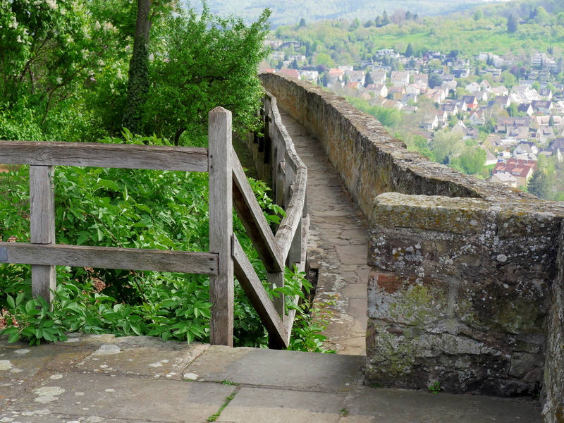 nature, ruin, castle, century, outdoors, green color, no people, wood - material, baden württemberg, human, transportation, stairs, railing, substantiate
