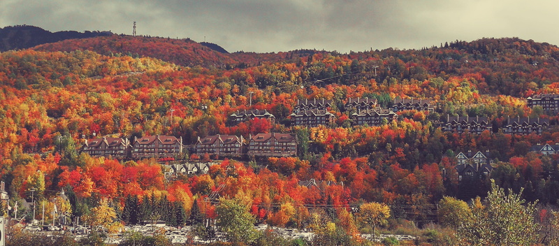 beauty in nature, outdoors, plant, tranquil scene, multi colored, mountain, no people, architecture, autumn collection, sky, mont-tremblant, leaf, environment