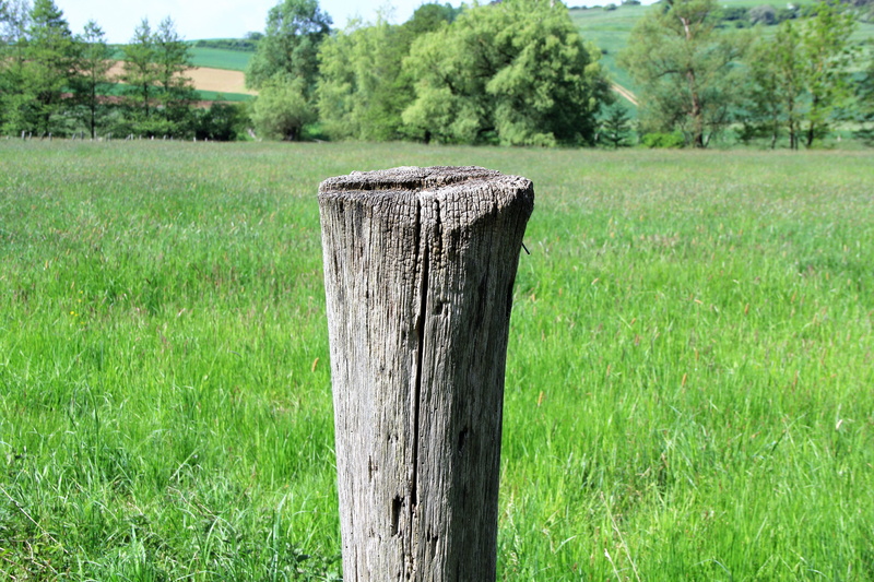 old, outdoors, 5K, no people, tranquil scene, wood - material, green color, pasture, green, pasture fence, pile, grass, plant, growth, nature, limit, wooden posts