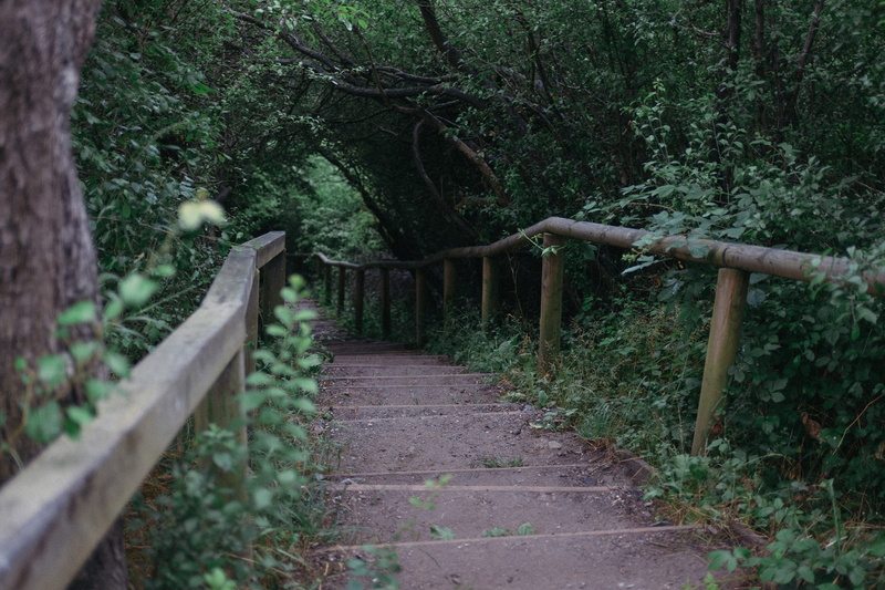 tourism, leading, growth, green color, day, garden, outdoors, nature, hiking, footpath, steps, coast, down, plant, land, architecture, through, stairway