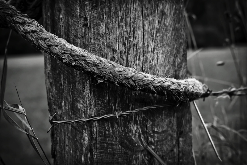 wood - material, metal, wooden posts, pile, meadow, close-up, twisted, spur, wire, water, demarcation, old, textured, wood pile, structure, close up, pole