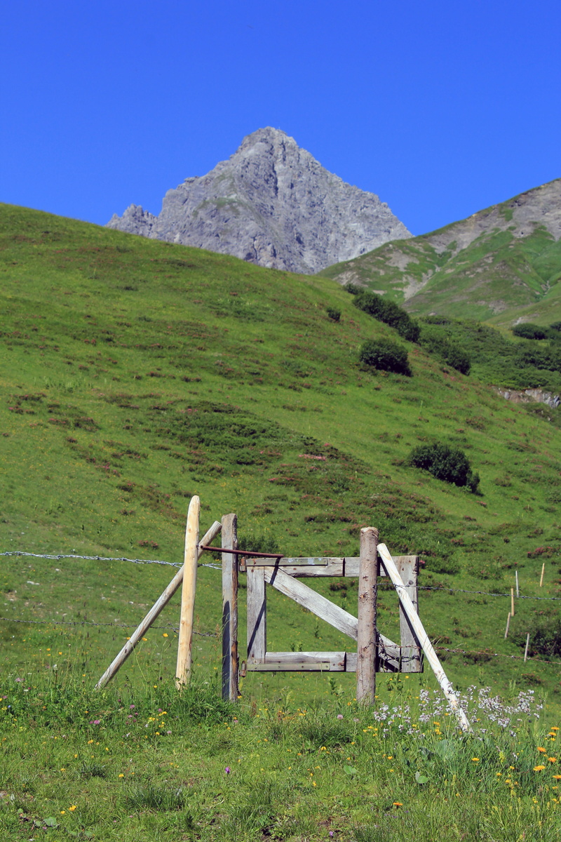 mountain peak, wood, tranquil scene, plant, clear sky, old, wooden gate, meadow, tyrol, green color, grass, hill, rock, summer, travel, landscape, pasture