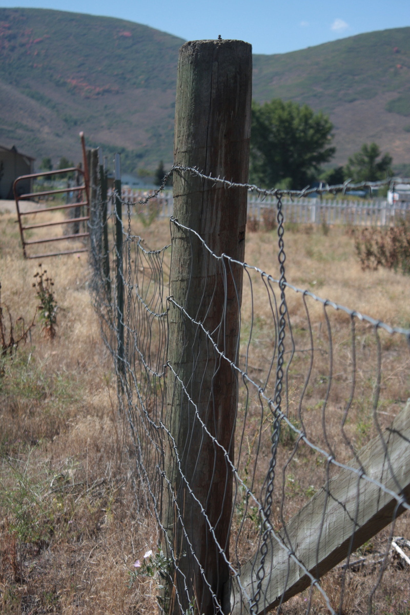 nature, safety, barbed wire, outdoors, vintage, tranquility, weathered, rural, day, wooden, focus on foreground, cowboy, protection, 4K, no people, land