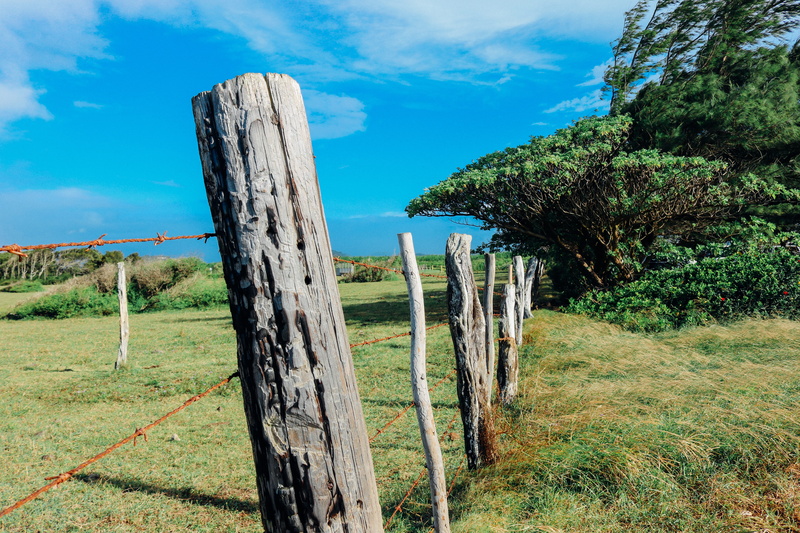 countryside, wooden, wooden post, farm field, wood - material, no people, landscape, barn, tranquility, plant, day, 5K, nature, ranch, boundary, wood
