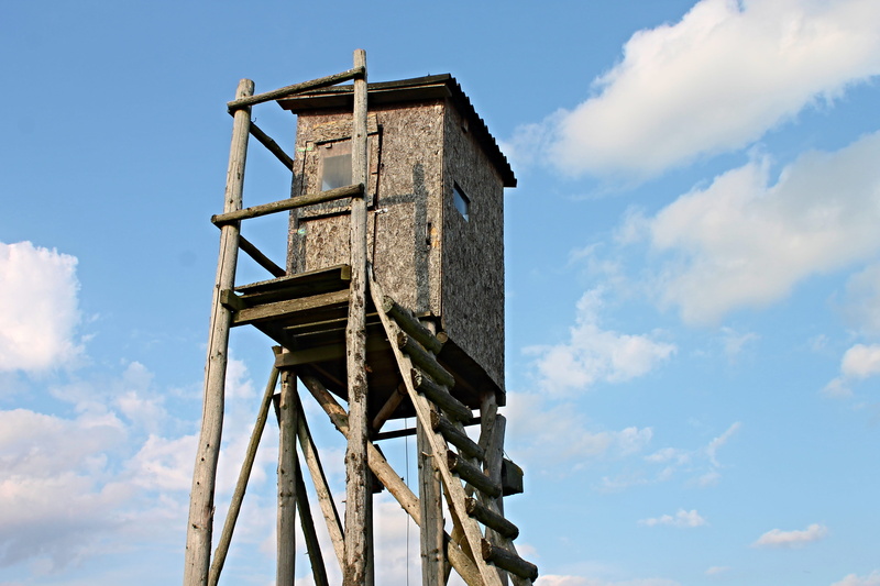 ladder, view, wild, hunting seat, blue, wood - material, no people, horizon, scenic, sky blue, damaged, sunlight, 4K, day, architecture, ruined, nature
