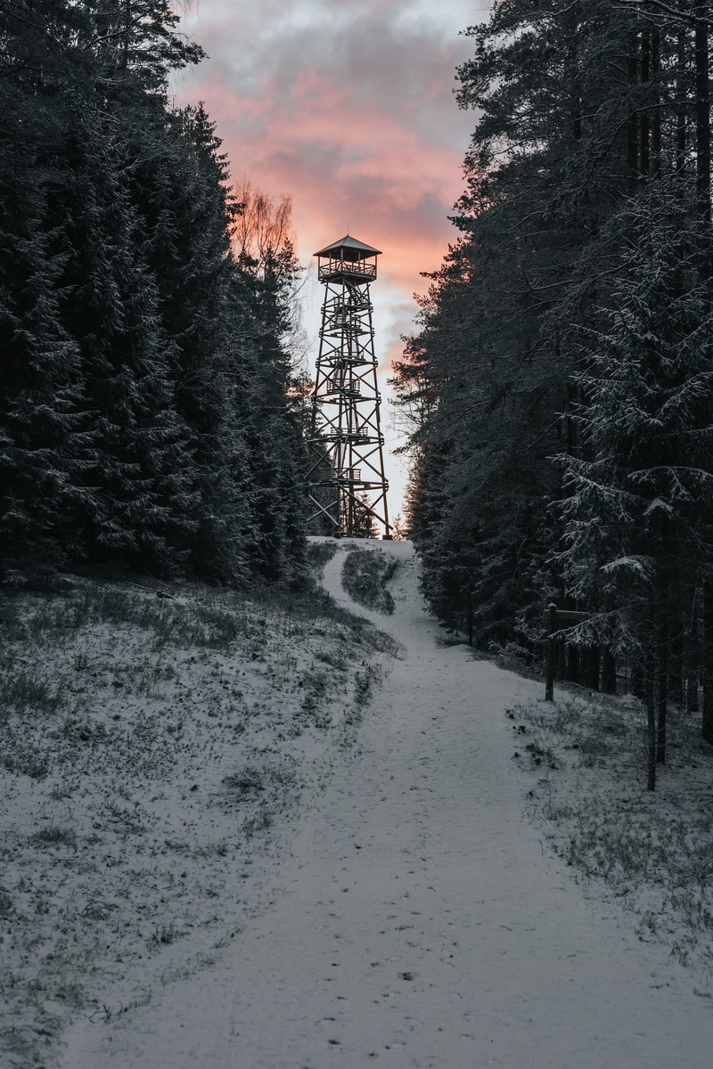 cloud - sky, direction, the way forward, nature, trees, cold temperature, scenics - nature, plant, tranquility, watchtower, outdoors, winter, sky, framed