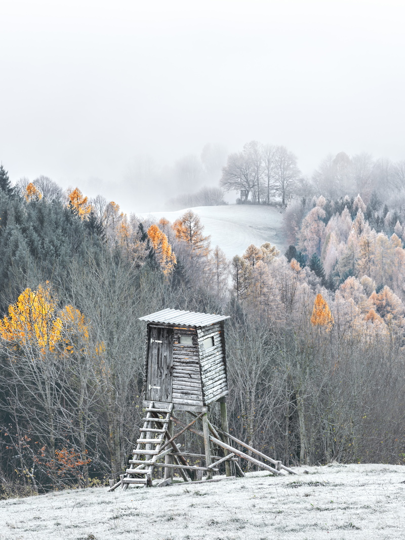 delight, plant, cold, outdoors, land, trees, hunter seat, field, winter, hunt, stalking equipment, hoarfrost, non-urban scene, nature, hunting, no people