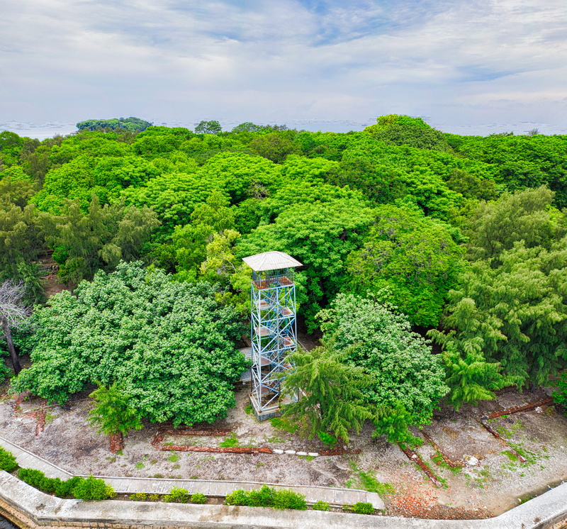 landscape, beauty in nature, non-urban scene, no people, outdoors, lush foliage, trees, architecture, tranquility, 5K, sky, aerial, growth, land, foliage