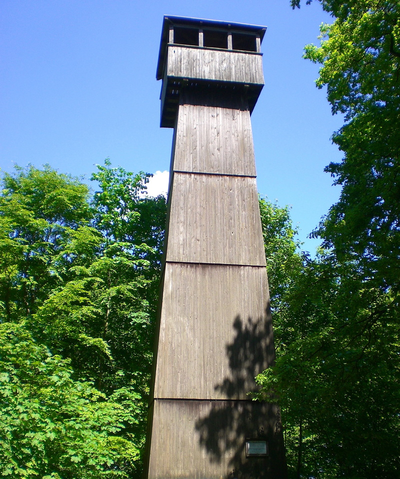 1080P, sky, blue, built structure, watchtower, clear sky, green color, low angle view, wooden tower, wood - material, no people, growth, day, tall - high