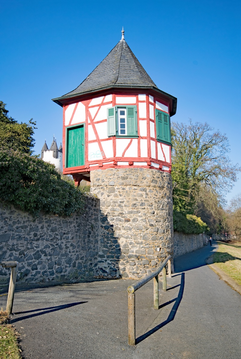 architecture, clear sky, hanau, nature, security, blue, building exterior, city wall, hesse, built structure, sunlight, outdoors, watchtower, tree, old town