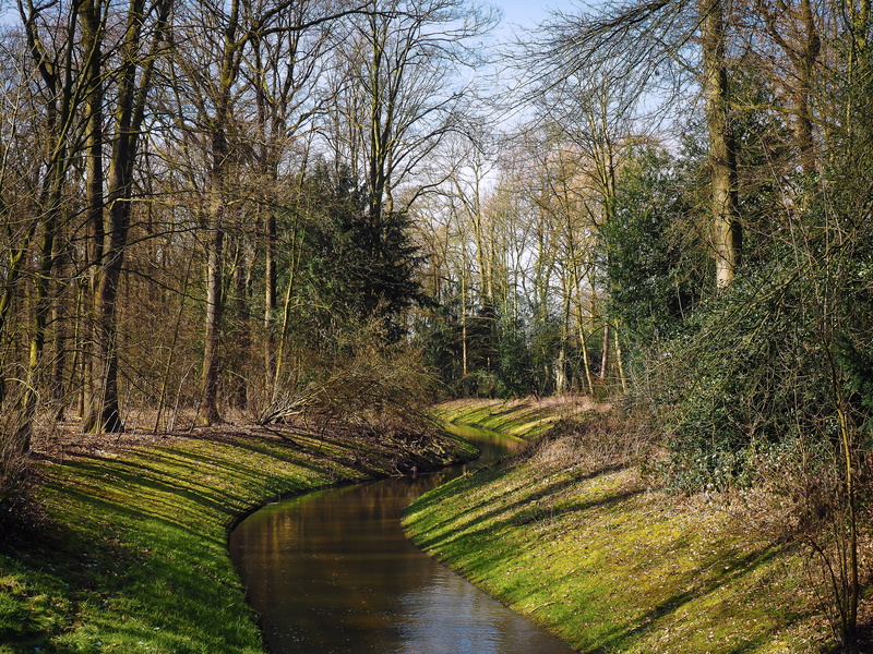 Forest, beauty In Nature, downloading, 4K, Water, scenics, idyllic, reflection, water running, canal, green Color, scenics - nature, local recreation